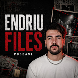Cover: Endriu Files