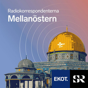 Cover: Radiokorrespondenterna Mellanöstern