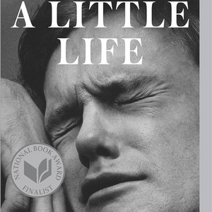 Cover: a little life 💧