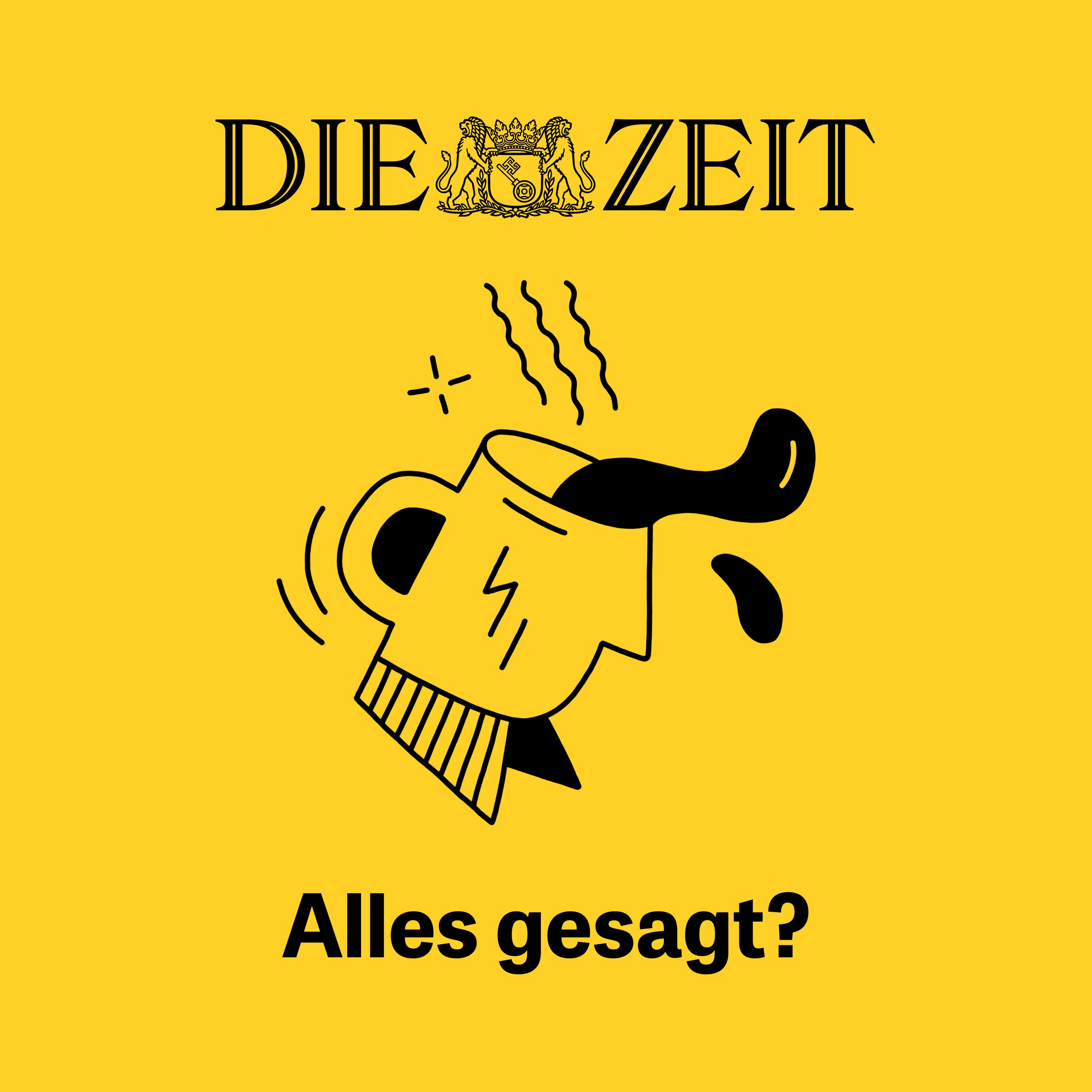 Cover: Alles gesagt?