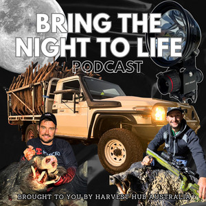 Cover: BRING THE NIGHT TO LIFE