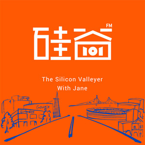 Cover: 硅谷101