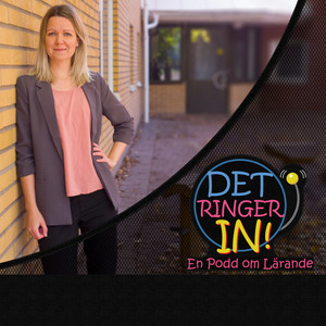 Cover: Det Ringer In!