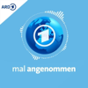 Cover: Quarks – Mal angenommen