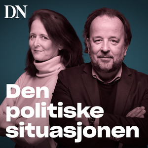 Cover: Den politiske situasjonen