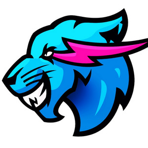Cover: MrBeast Gaming