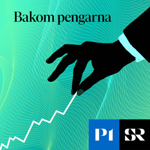 Cover: Bakom pengarna