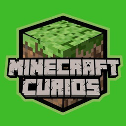 Cover: Minecraft Curios