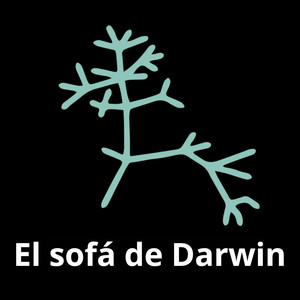 Cover: El sofá de Darwin