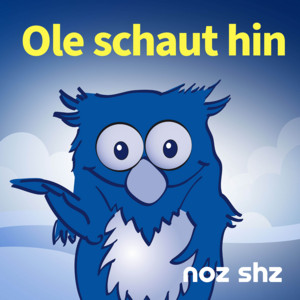Cover: Ole schaut hin