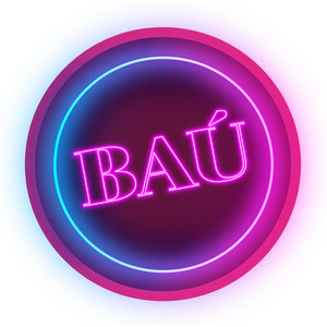 Cover: Baú Explica