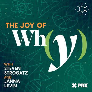 Cover: The Joy of Why