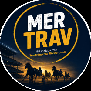 Cover: MER TRAV