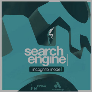 Cover: Incognito Mode