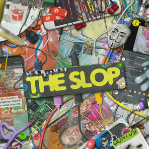 Cover: The Slop