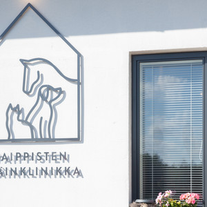 Cover: Paippisten Podi - Eläinten ääni