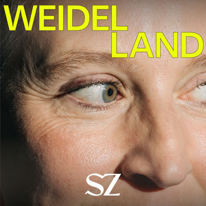 Cover: Weidelland - Die AfD und ihr Weg zur Macht