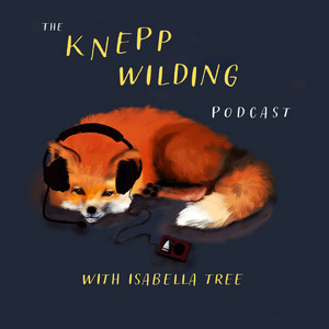 Cover: The Knepp Wilding Podcast