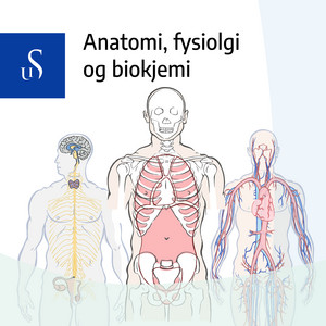 Cover: Anatomi, fysiologi og biokjemi – UiS podkast