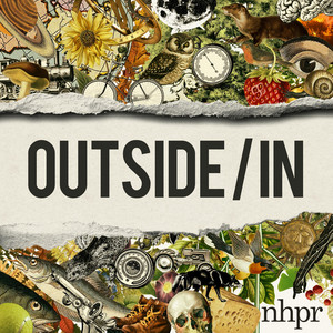 Cover: Outside/In