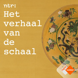 Cover: Het Verhaal van de Schaal