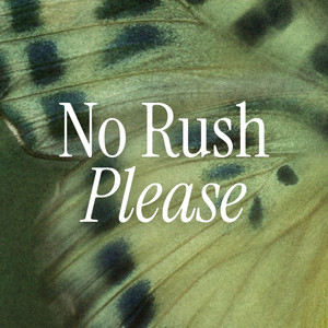 Cover: No Rush Please