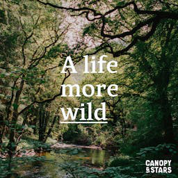 Cover: A Life More Wild