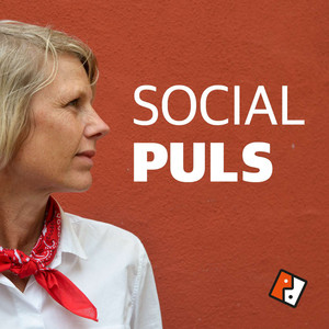 Cover: Social Puls