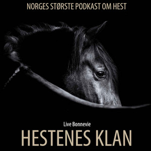 Cover: HESTENES KLAN