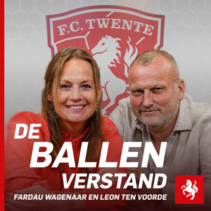 Cover: De Ballen Verstand