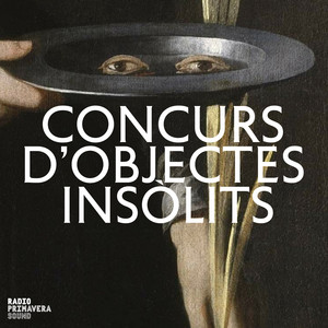 Cover: Concurs d’Objectes Insòlits