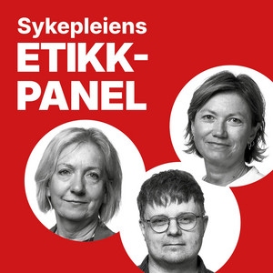 Cover: Sykepleiens etikkpanel