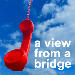 Cover: A View From A Bridge