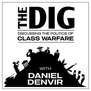 Cover: The Dig