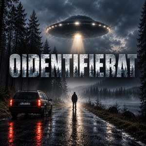 Cover: Oidentifierat