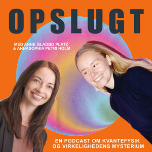 Cover: OPSLUGT