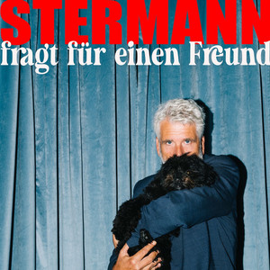 Cover: STERMANN fragt für einen Freund