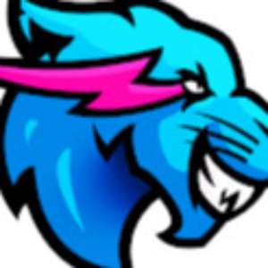 Cover: MrBeast Gaming