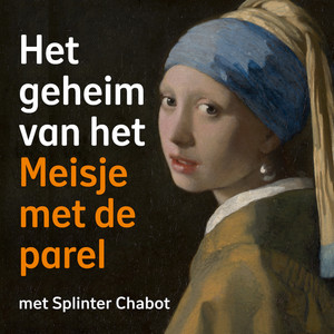 Cover: Het geheim van het Meisje met de parel