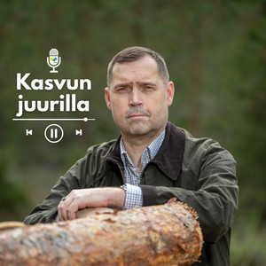 Cover: Kasvun juurilla