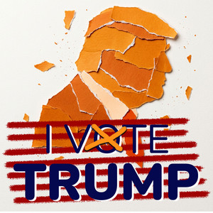 Cover: I Vote Trump