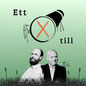 Cover: Ett kryss till