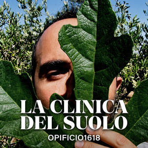Cover: La clinica del suolo