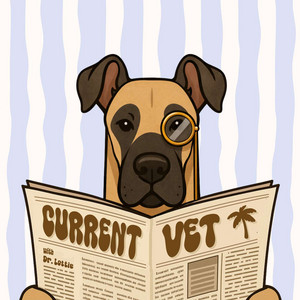 Cover: Current Vet