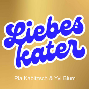 Cover: Liebeskater